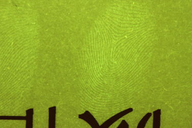 পোর্টেবল ফরেনসিক সরঞ্জাম, কাগজ আঙ্গুলের ছাপ বর্তমান ক্যামেরা সিস্টেম